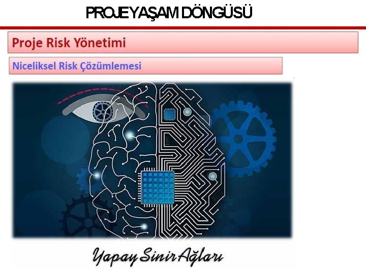 PROJEYAŞAM DÖNGÜSÜ 