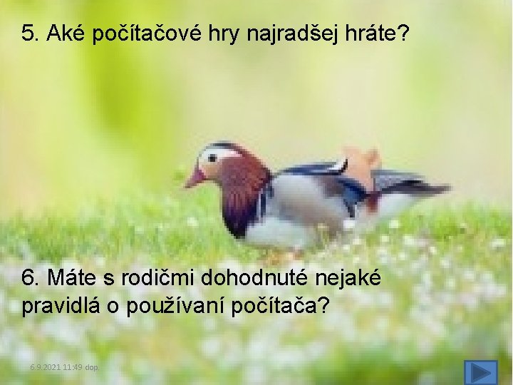 5. Aké počítačové hry najradšej hráte? 6. Máte s rodičmi dohodnuté nejaké pravidlá o