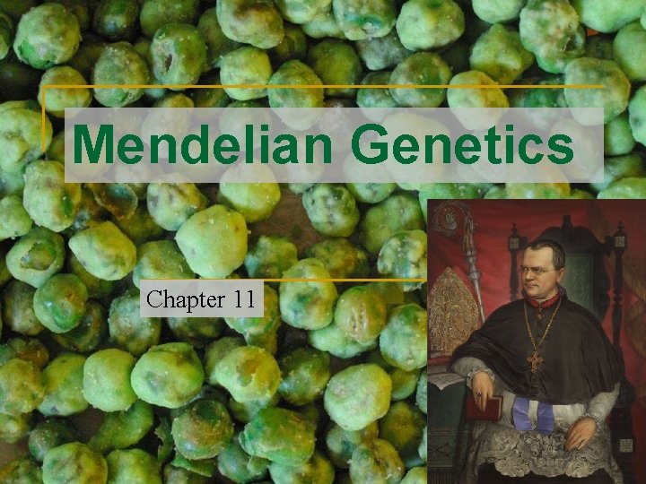 Mendelian Genetics Chapter 11 