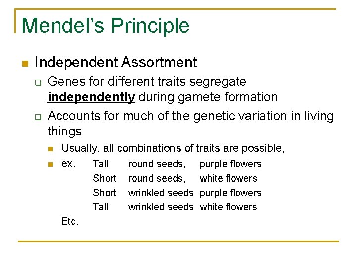 Mendel’s Principle n Independent Assortment q q Genes for different traits segregate independently during