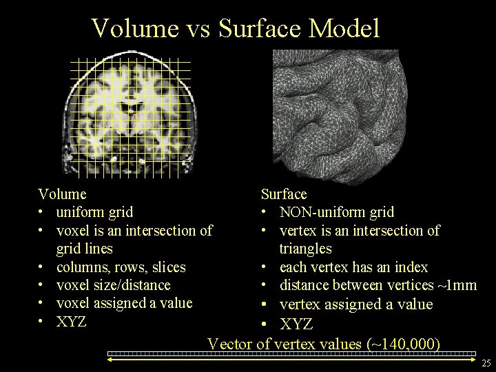Volume vs Surface Model Volume • uniform grid • voxel is an intersection of