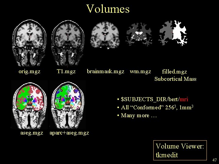 Volumes orig. mgz T 1. mgz brainmask. mgz wm. mgz filled. mgz Subcortical Mass