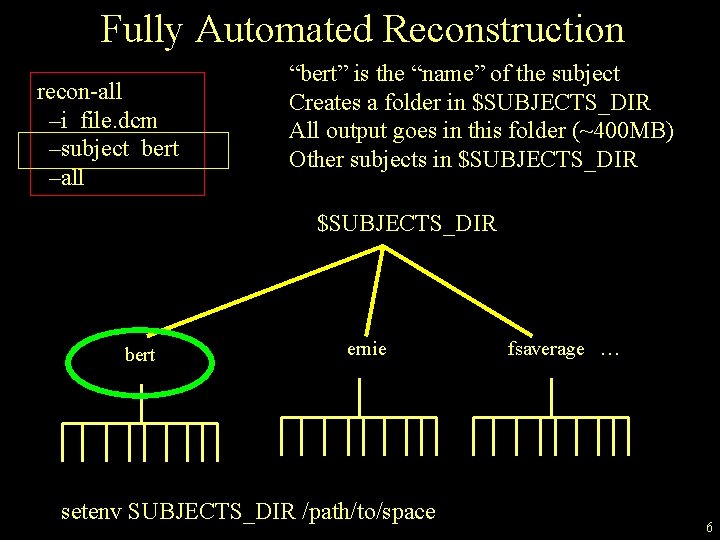Fully Automated Reconstruction recon-all –i file. dcm –subject bert –all “bert” is the “name”