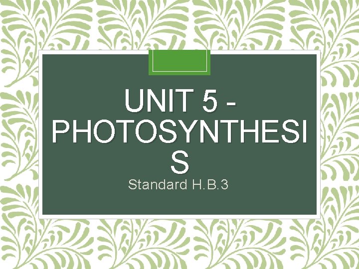 UNIT 5 PHOTOSYNTHESI S Standard H. B. 3 