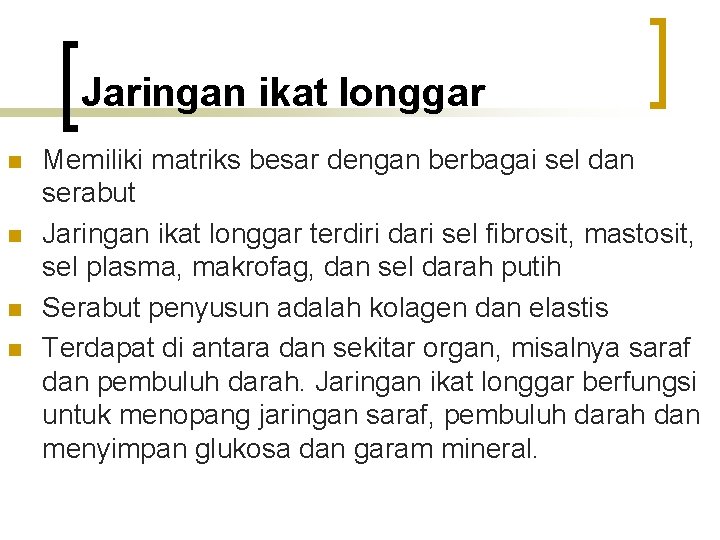 Jaringan ikat longgar n n Memiliki matriks besar dengan berbagai sel dan serabut Jaringan