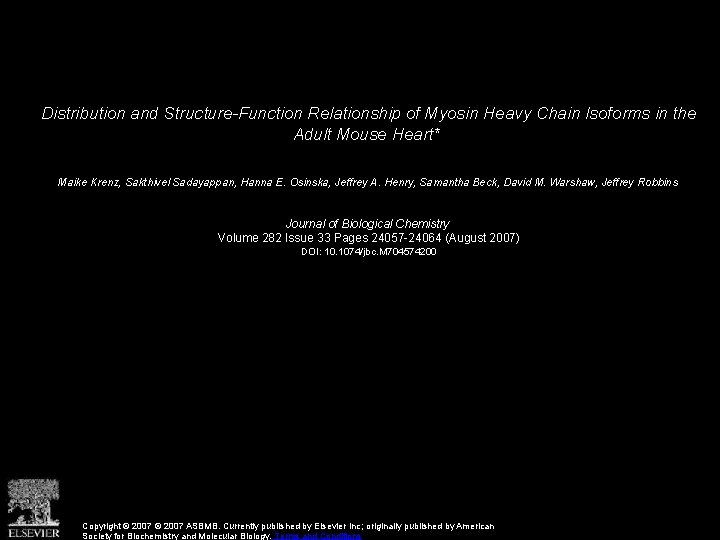 Distribution and Structure-Function Relationship of Myosin Heavy Chain Isoforms in the Adult Mouse Heart*