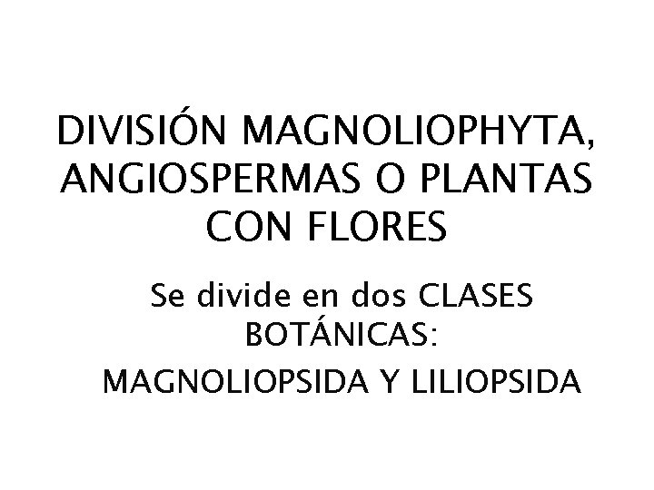 DIVISIÓN MAGNOLIOPHYTA, ANGIOSPERMAS O PLANTAS CON FLORES Se divide en dos CLASES BOTÁNICAS: MAGNOLIOPSIDA