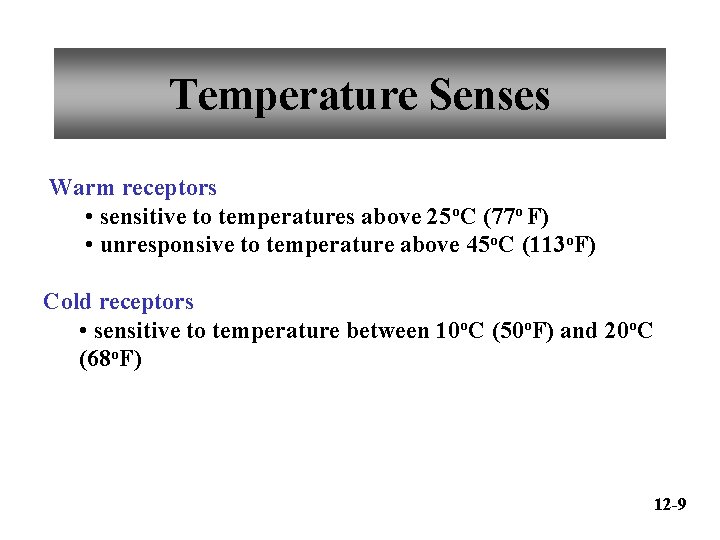 Temperature Senses Warm receptors • sensitive to temperatures above 25 o. C (77 o