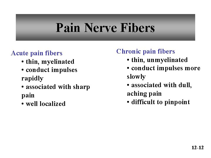 Pain Nerve Fibers Acute pain fibers • thin, myelinated • conduct impulses rapidly •