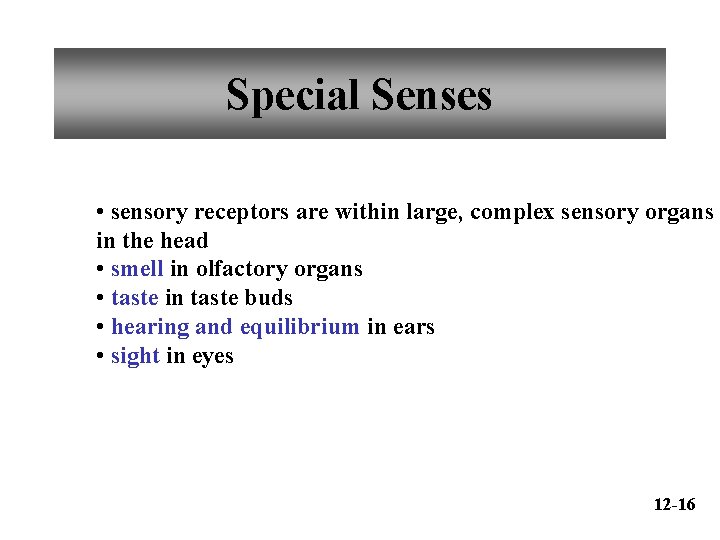 Special Senses • sensory receptors are within large, complex sensory organs in the head