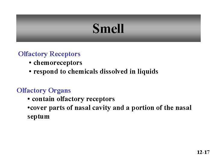 Smell Olfactory Receptors • chemoreceptors • respond to chemicals dissolved in liquids Olfactory Organs