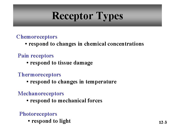 Receptor Types Chemoreceptors • respond to changes in chemical concentrations Pain receptors • respond