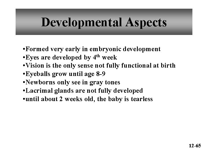 Developmental Aspects • Formed very early in embryonic development • Eyes are developed by