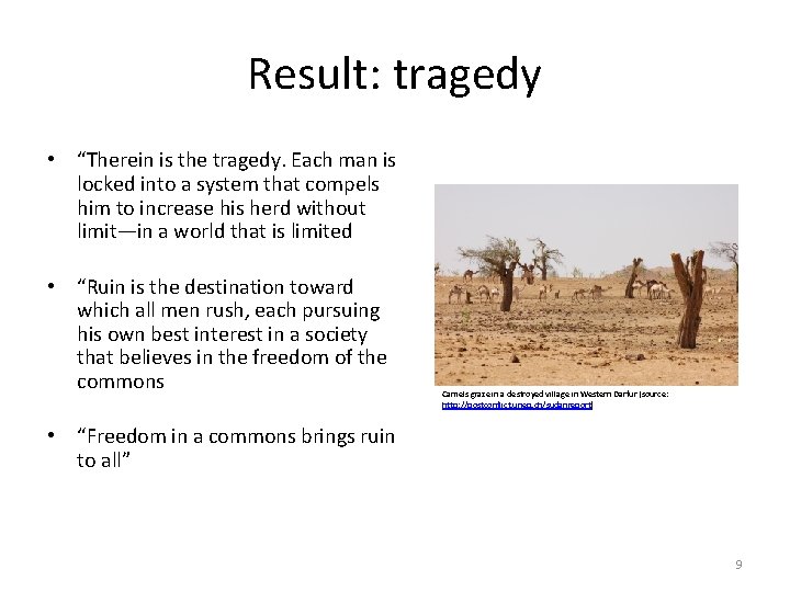 Result: tragedy • “Therein is the tragedy. Each man is locked into a system