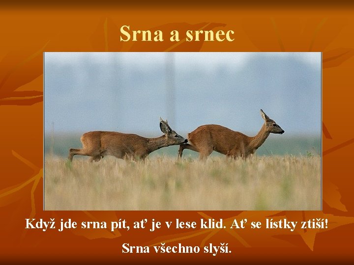 Srna a srnec Když jde srna pít, ať je v lese klid. Ať se