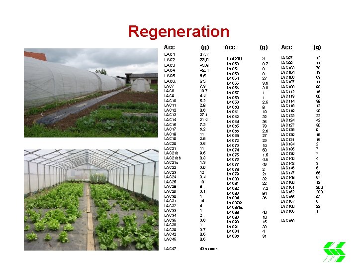 Regeneration Acc (g) LAC 1 LAC 2 LAC 3 LAC 4 LAC 5 LAC