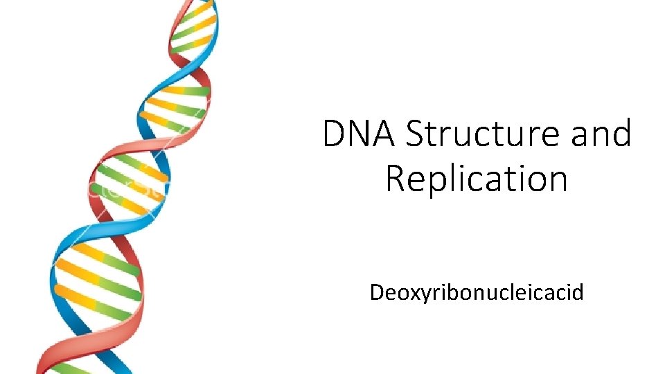 DNA Structure and Replication Deoxyribonucleicacid 
