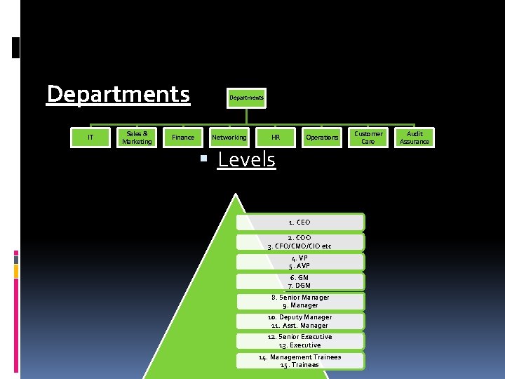 Departments IT Sales & Marketing Finance Departments Networking HR Operations Levels 1. CEO 2.