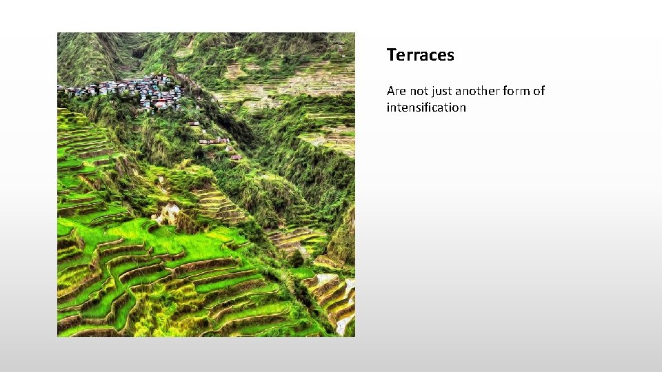 Terraces Are not just another form of intensification 