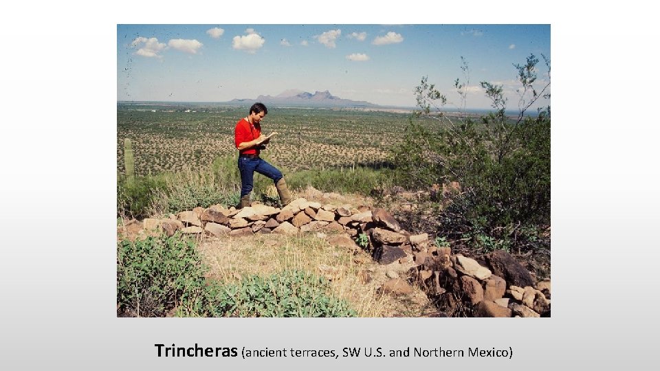 Trincheras (ancient terraces, SW U. S. and Northern Mexico) 