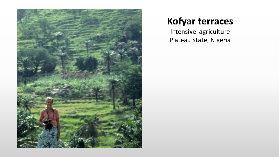 Kofyar terraces Intensive agriculture Plateau State, Nigeria 