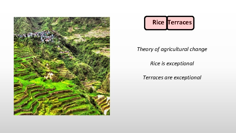 Rice Terraces Theory of agricultural change Rice is exceptional Terraces are exceptional 