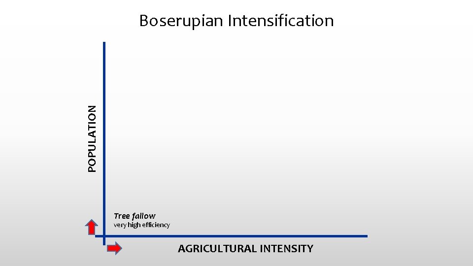 POPULATION Boserupian Intensification Tree fallow very high efficiency AGRICULTURAL INTENSITY 