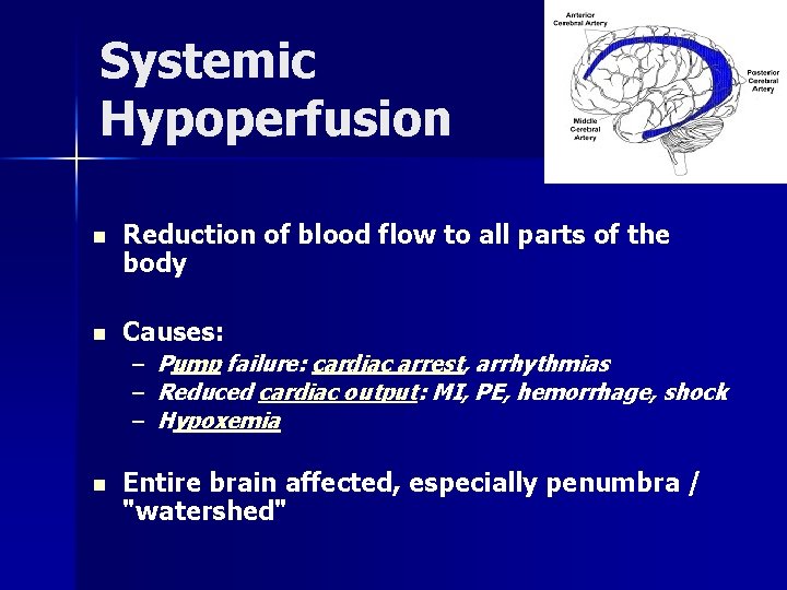 Systemic Hypoperfusion n Reduction of blood flow to all parts of the body n