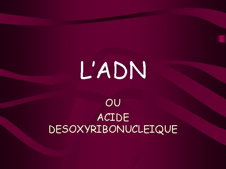 L’ADN OU ACIDE DESOXYRIBONUCLEIQUE 