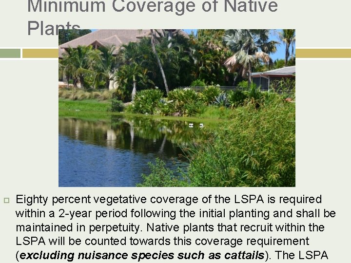Minimum Coverage of Native Plants Eighty percent vegetative coverage of the LSPA is required