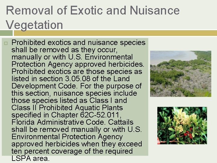 Removal of Exotic and Nuisance Vegetation Prohibited exotics and nuisance species shall be removed