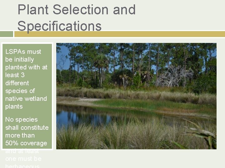 Plant Selection and Specifications LSPAs must be initially planted with at least 3 different