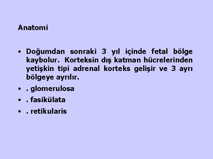 Anatomi • Doğumdan sonraki 3 yıl içinde fetal bölge kaybolur. Korteksin dış katman hücrelerinden