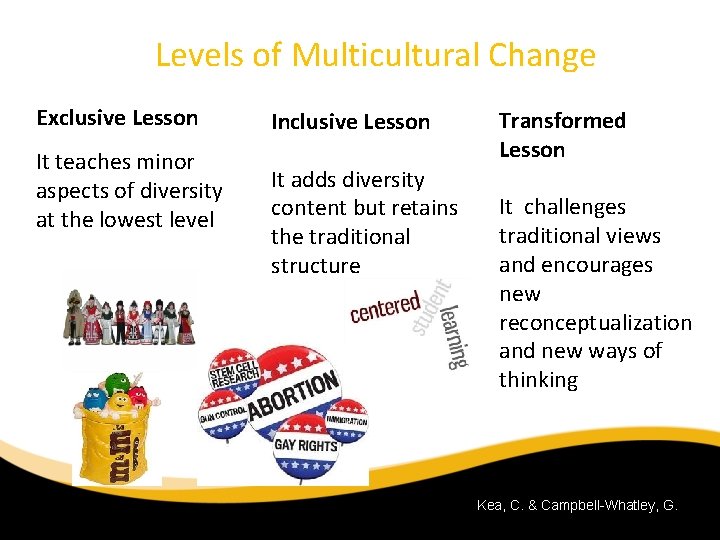 Levels of Multicultural Change Exclusive Lesson It teaches minor aspects of diversity at the