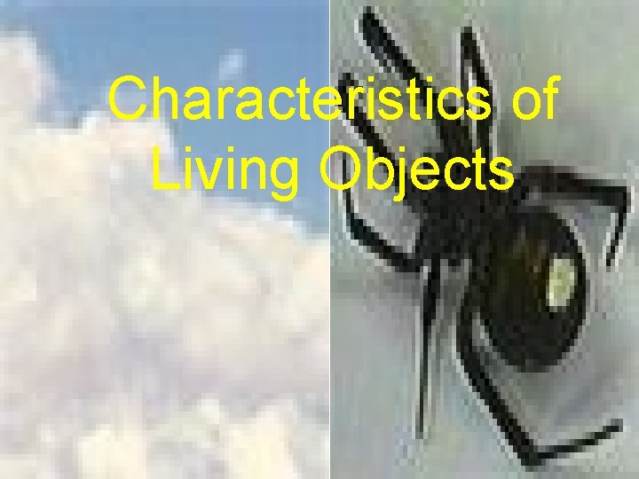 Characteristics of Living Objects 