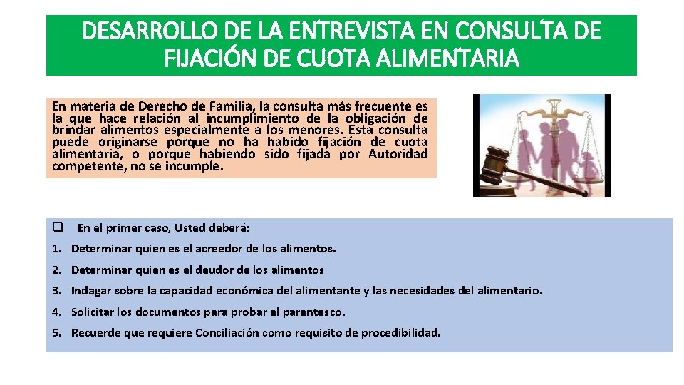 DESARROLLO DE LA ENTREVISTA EN CONSULTA DE FIJACIÓN DE CUOTA ALIMENTARIA En materia de