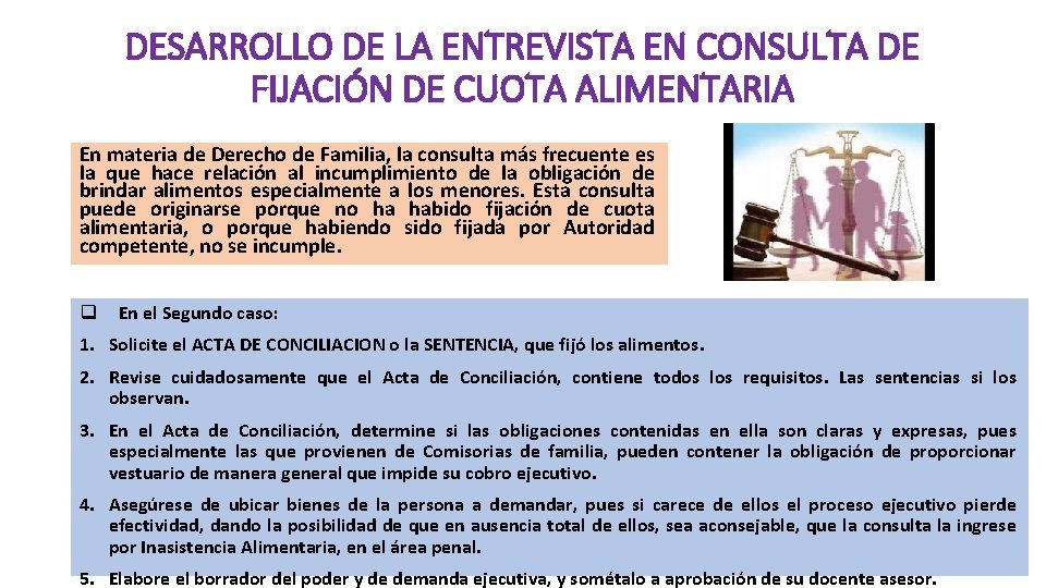 DESARROLLO DE LA ENTREVISTA EN CONSULTA DE FIJACIÓN DE CUOTA ALIMENTARIA En materia de