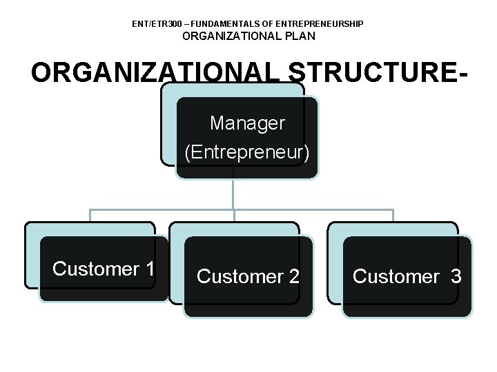 ENT/ETR 300 – FUNDAMENTALS OF ENTREPRENEURSHIP ORGANIZATIONAL PLAN ORGANIZATIONAL STRUCTURECLIENT Manager (Entrepreneur) Customer 1