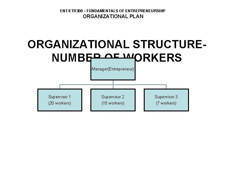 ENT/ETR 300 – FUNDAMENTALS OF ENTREPRENEURSHIP ORGANIZATIONAL PLAN ORGANIZATIONAL STRUCTURENUMBER OF WORKERS Manager(Entrepreneur) Supervisor