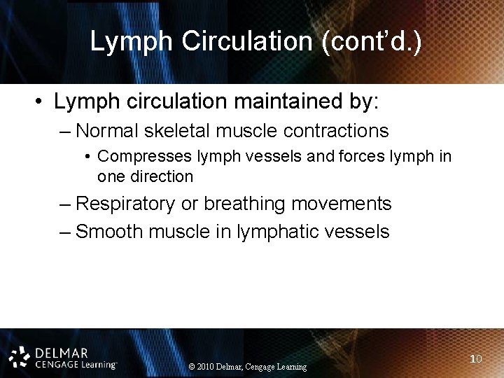 Lymph Circulation (cont’d. ) • Lymph circulation maintained by: – Normal skeletal muscle contractions