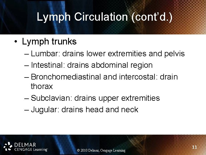 Lymph Circulation (cont’d. ) • Lymph trunks – Lumbar: drains lower extremities and pelvis