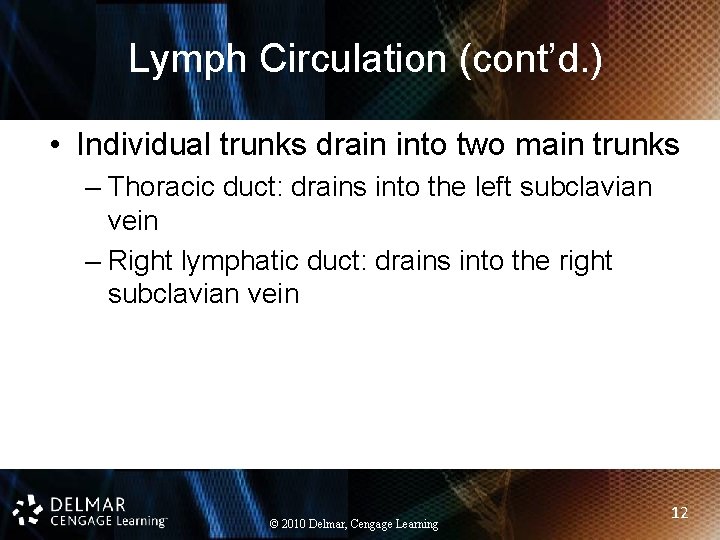 Lymph Circulation (cont’d. ) • Individual trunks drain into two main trunks – Thoracic