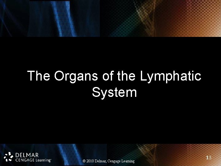 The Organs of the Lymphatic System © 2010 Delmar, Cengage Learning 13 