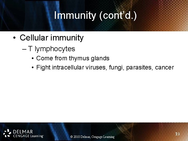 Immunity (cont’d. ) • Cellular immunity – T lymphocytes • Come from thymus glands