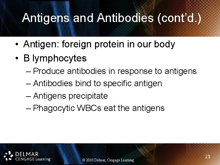 Antigens and Antibodies (cont’d. ) • Antigen: foreign protein in our body • B