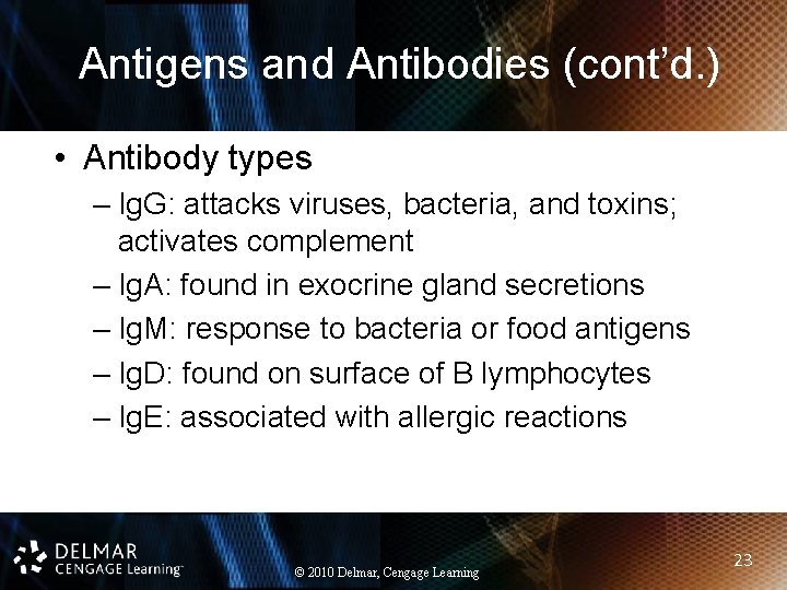 Antigens and Antibodies (cont’d. ) • Antibody types – Ig. G: attacks viruses, bacteria,