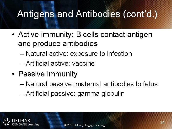 Antigens and Antibodies (cont’d. ) • Active immunity: B cells contact antigen and produce