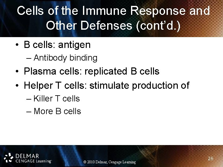 Cells of the Immune Response and Other Defenses (cont’d. ) • B cells: antigen