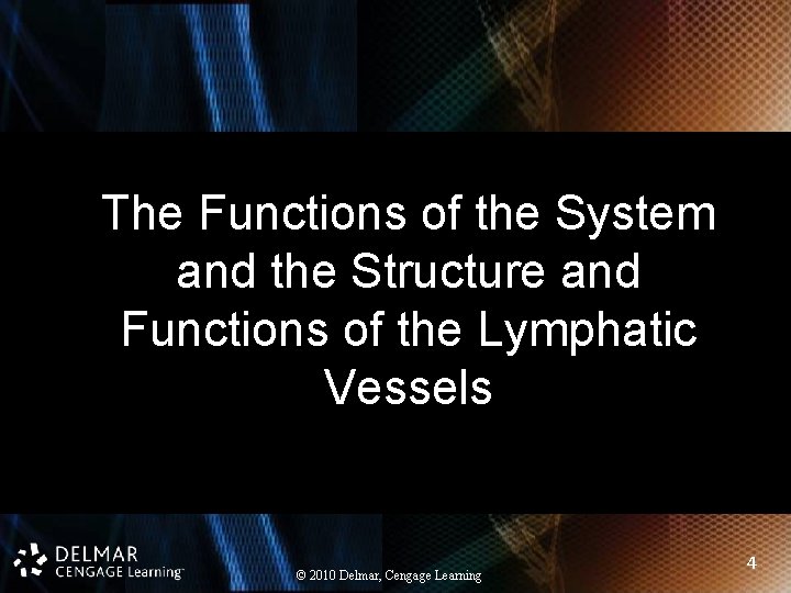 The Functions of the System and the Structure and Functions of the Lymphatic Vessels