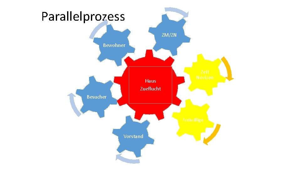 Parallelprozess ZM/ZN Bewohner Haus Zueflucht Zeit Novizen Besucher Freiwillige Vorstand 